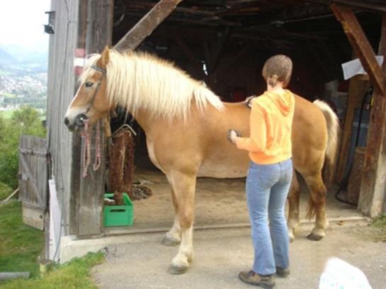 فندق Ferienhof Berger