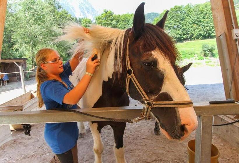 호텔 Ferienhof Millinghof