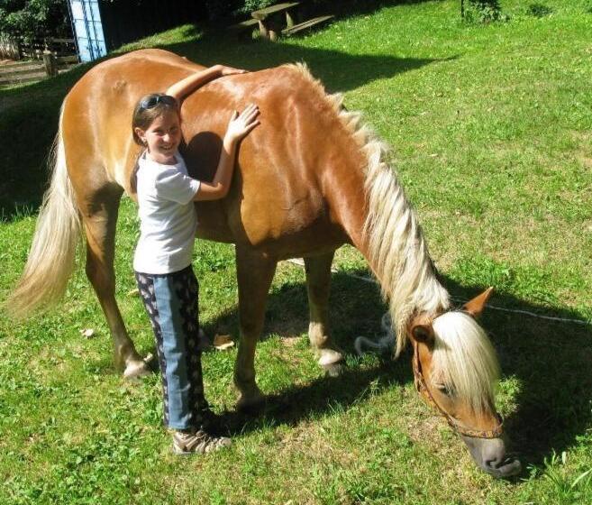 호텔 Ferienhof Millinghof