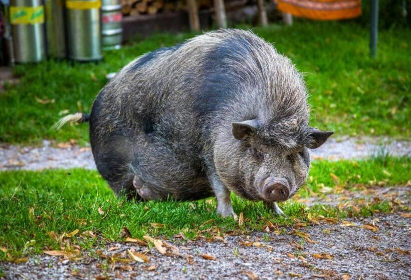 호텔 Ferienhof Millinghof