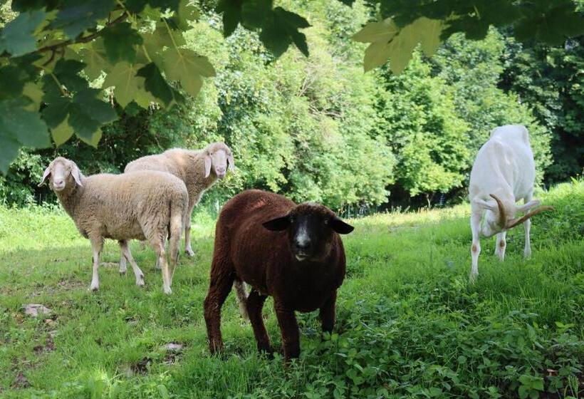 호텔 Ferienhof Millinghof