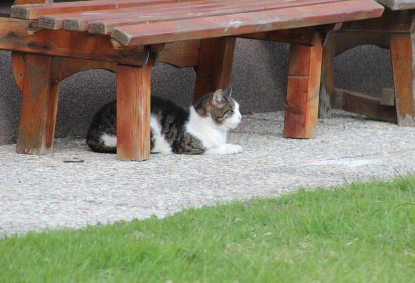 Отель Ferienhof Osl