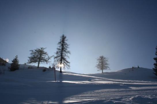 ペンション Gästehaus Panorama