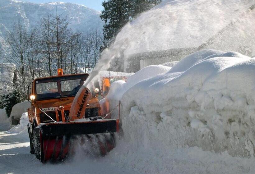 호텔 Gasthof Pension Grüner Anger