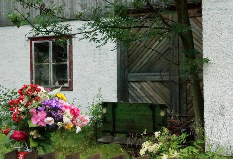 ホテル Gasthof Pension Grüner Anger