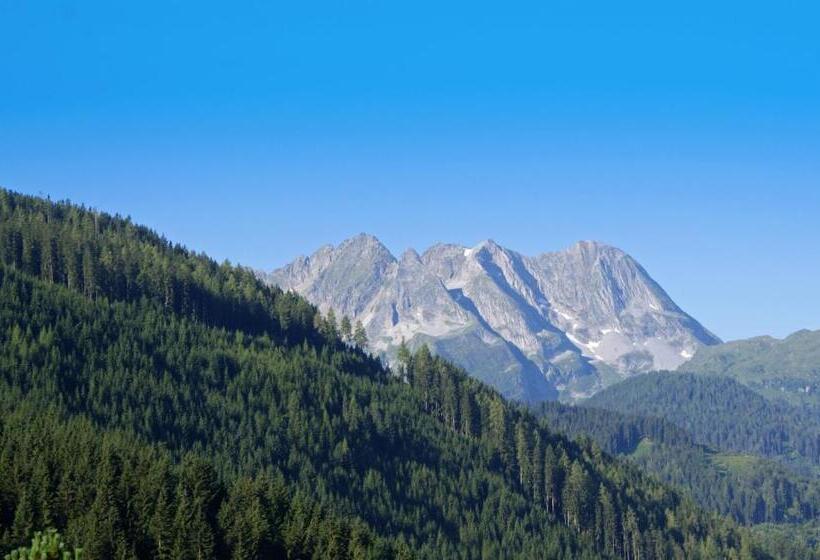 Отель Gasthof Riederhof