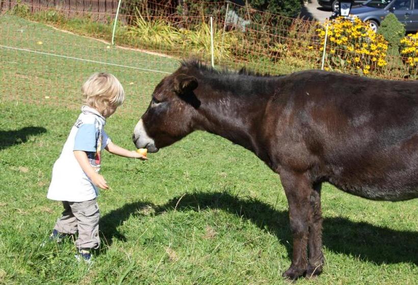 酒店 Gasthofladen Schneeweiss