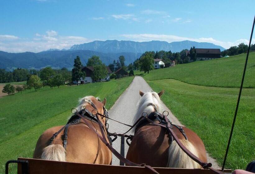 酒店 Gasthofladen Schneeweiss