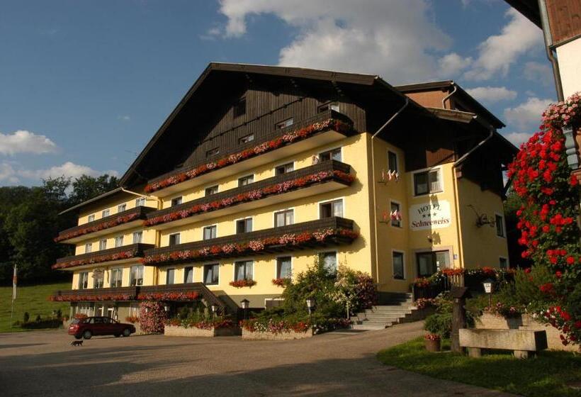 酒店 Gasthofladen Schneeweiss