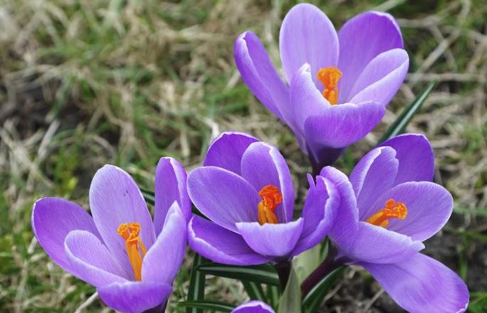 هتل Frühstückspension Gschwandthof