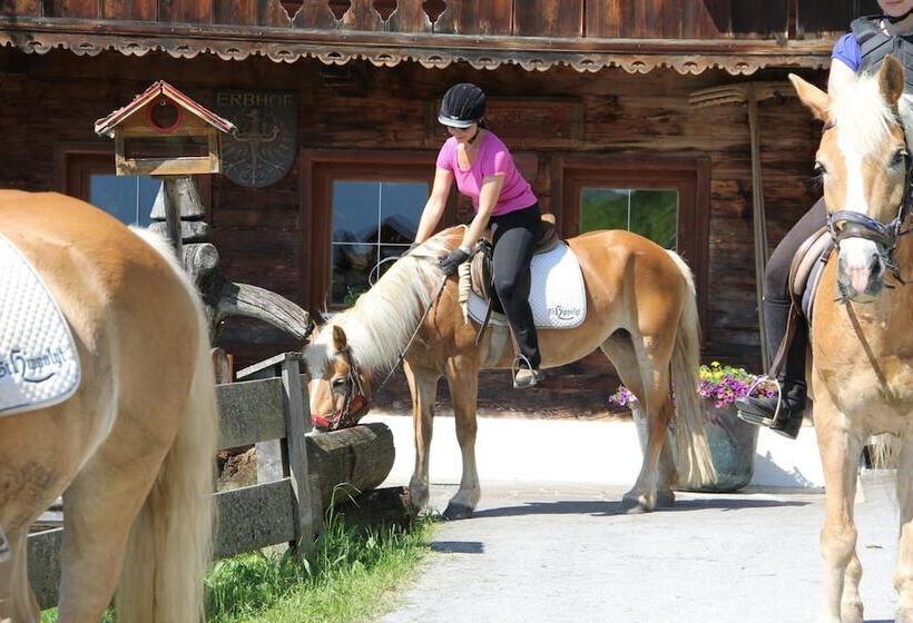 בית מלון כפרי Haflingerhof