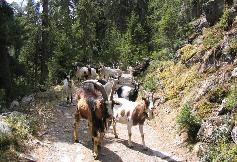 호텔 Haus Alpenruh