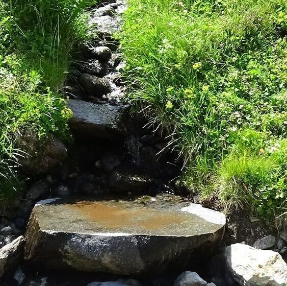 هتل Haus Bergheim