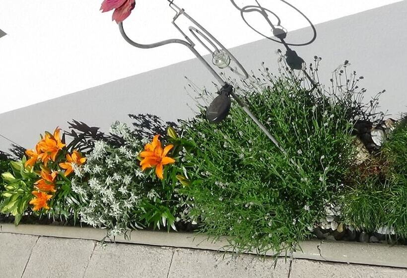 هتل Haus Bergheim