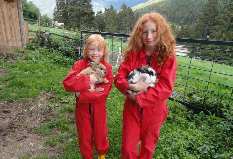 호텔 Haus Hochzeigerblick