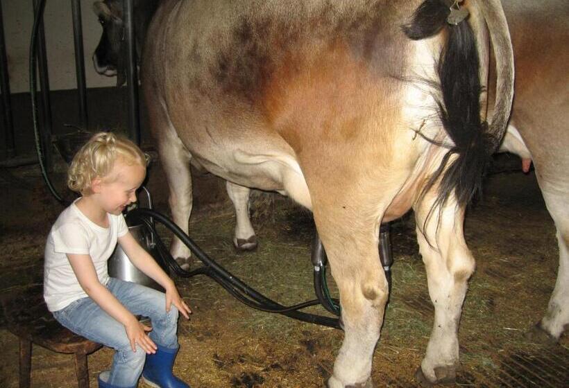 호텔 Haus Hochzeigerblick