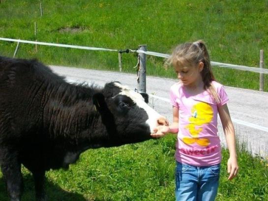 酒店 Hochserner-hof