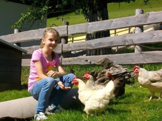 酒店 Hochserner-hof