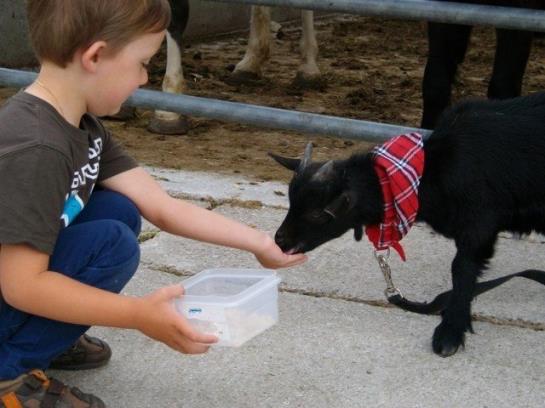 酒店 Hochserner-hof