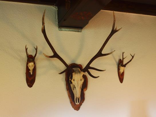 Ausflugshotel Huttersberg