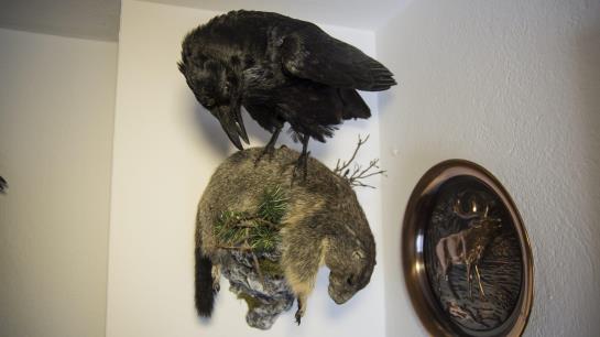 פנסיון Koppinger Gästehaus