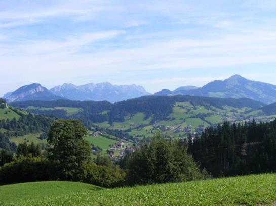 膳宿费 Landgasthof Dorferwirt