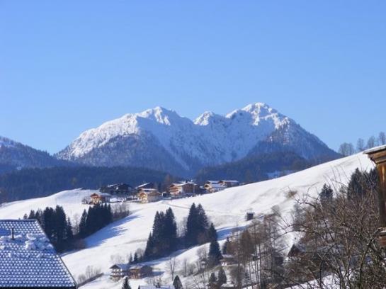 膳宿费 Landgasthof Dorferwirt