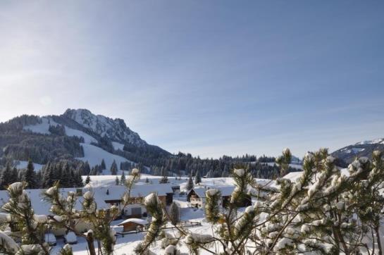 Landhaus Wildschütz