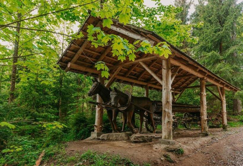 酒店 Leonfeldner Hof