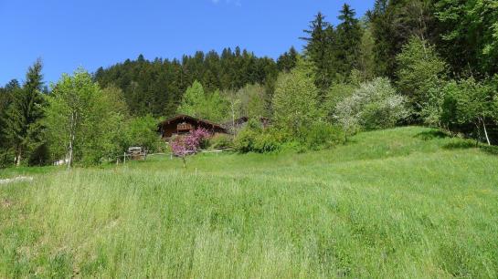 Luxus Chalet Muehlermoos
