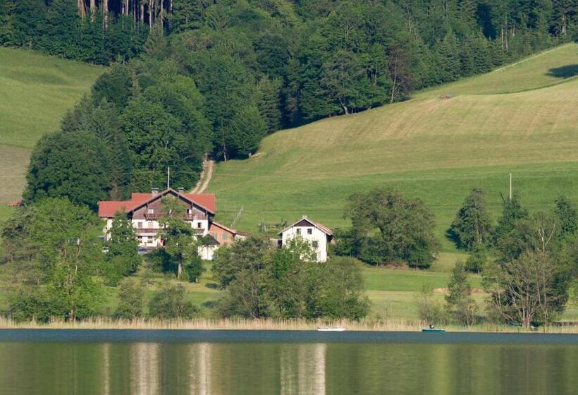 ホテル Nussbaumer Am Irrsee