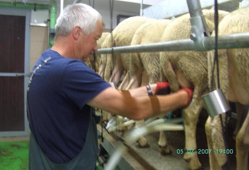 ホテル Nussbaumer Am Irrsee