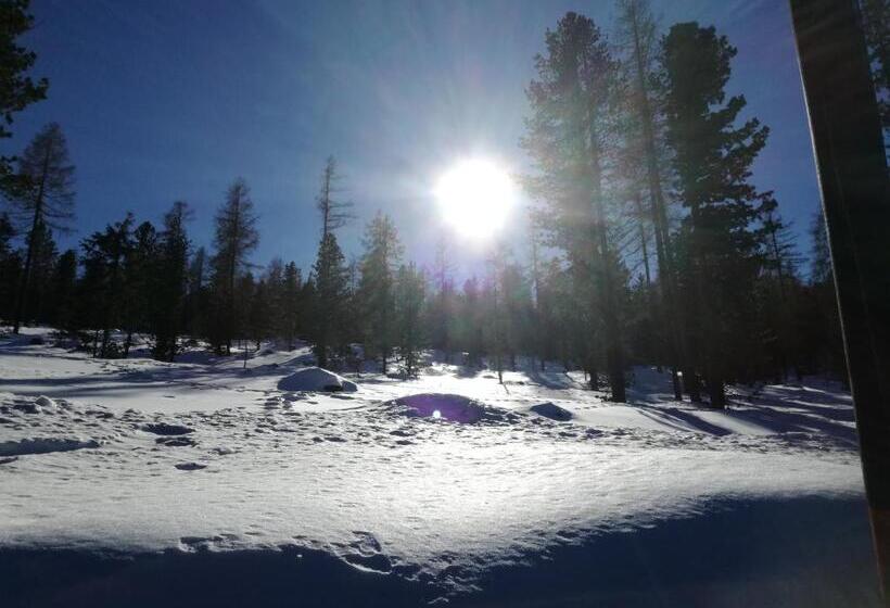 فندق Pension Fischinger