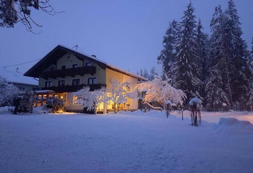 فندق Pension Fischinger