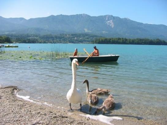 צימר Pension Seehoehe