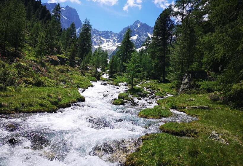 Отель Pension Siggi