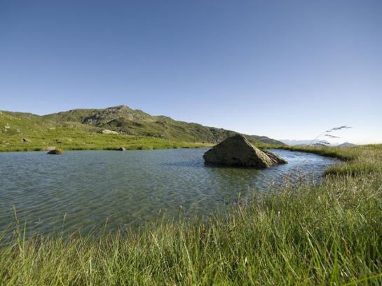 住宿加早餐 Pension Sonnblick