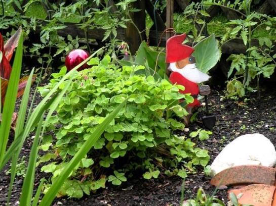 ベッドアンドブレックファースト Pension Winter Am Irrsee