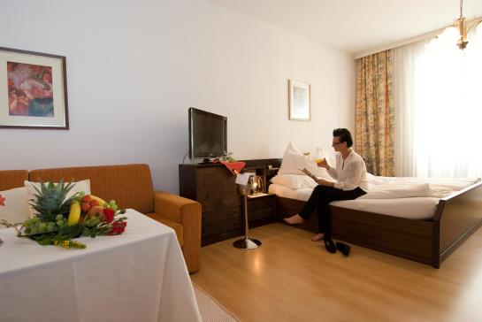 فندق Schärdinger Hof