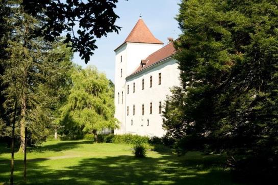 مبيت وإفطار Ferienwohnung Schloss Gmünd