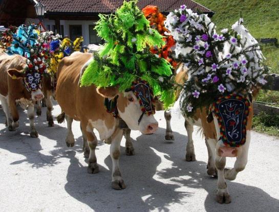 בית מלון כפרי Schweizerhof