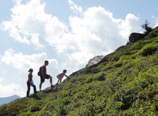 בית מלון כפרי Schweizerhof