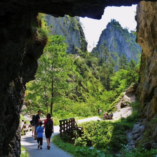 בית מלון כפרי Schweizerhof