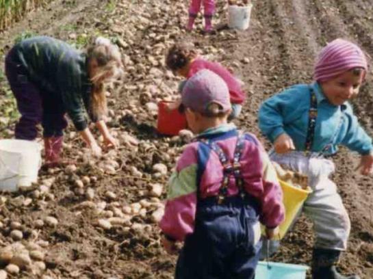 Отель Stillerhof