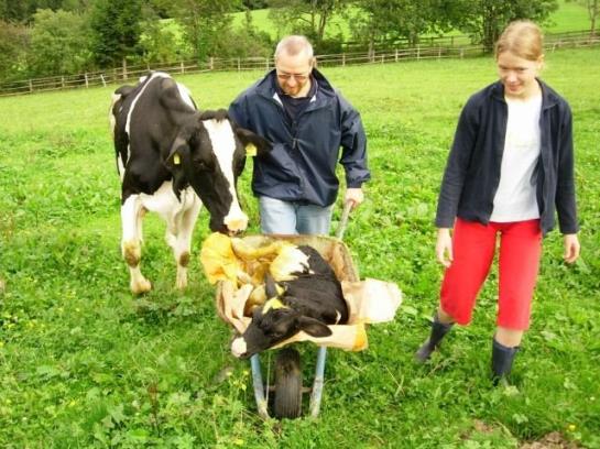 Отель Stillerhof