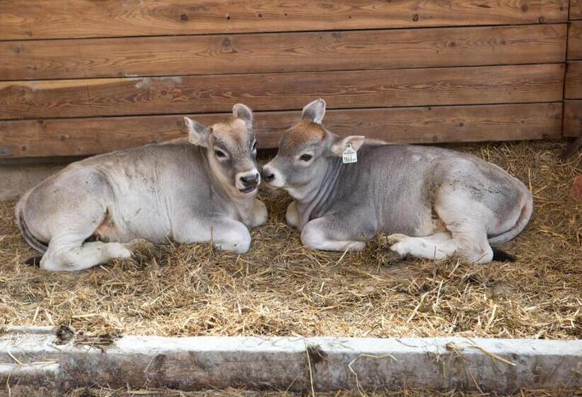 酒店 Tobadillerhof