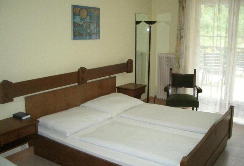 فندق Torrenerhof