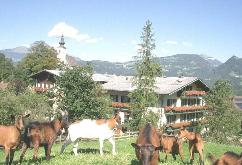 فندق Torrenerhof