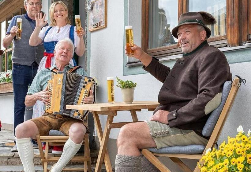 Отель Alpin Tyrol   Kitzbüheler Alpen