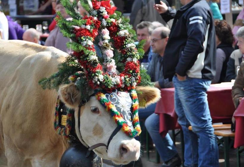 בית מלון כפרי Victoria   Adults Only